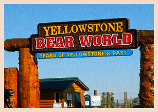 Yellowstone Bear World  Rexburg  Idaho